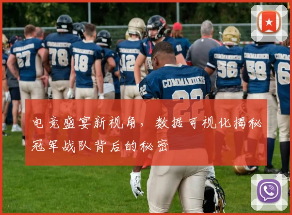 电竞盛宴新视角，数据可视化揭秘冠军战队背后的秘密