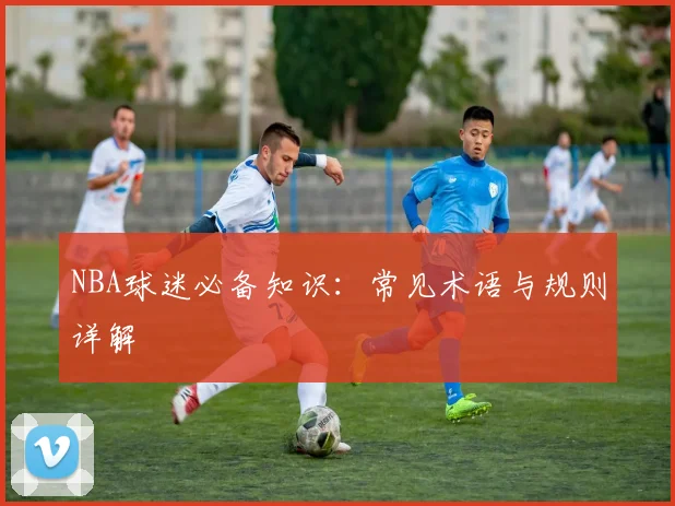 NBA球迷必备知识:常见术语与规则详解